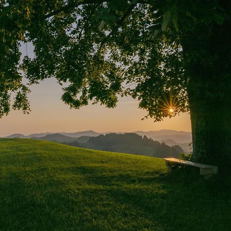 Vegan Health Hotel Sonnenberg Glutenfrei Schwellbrunn Экстерьер фото